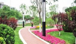 天津公园爆料最新消息,神秘事件引发热议，真相即将揭晓！