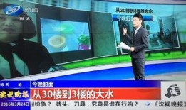 辽宁卫视最新爆料,揭秘重大事件背后真相