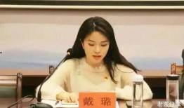 扬州戴璐爆料案件最新,揭开官场腐败的冰山一角