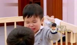 秃崽崽最新爆料视频,揭秘娱乐圈惊人内幕！