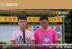 诸城慈海爆料事件视频最新,真相揭露与舆论风暴