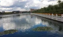 滕州小黑河跳河最新爆料,揭秘真相与救援行动”